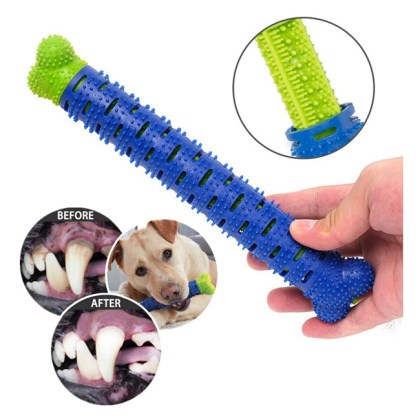 dogs brush.jpg